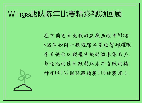 Wings战队陈年比赛精彩视频回顾