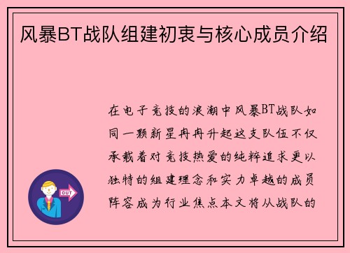 风暴BT战队组建初衷与核心成员介绍