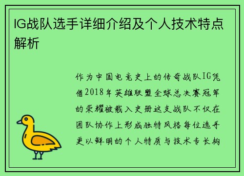 IG战队选手详细介绍及个人技术特点解析